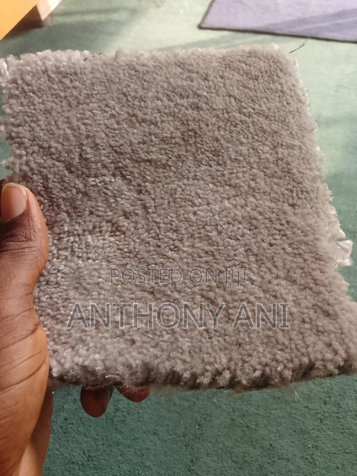 Rugs Available