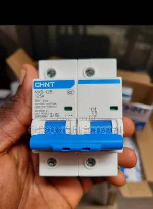125amps Breaker 2pole Chint