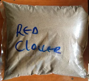 1 Kg of Red Clover