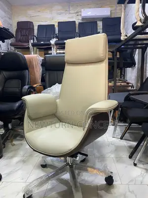 Executive Director Chair