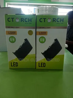 C_torch 6w Led Wall Light