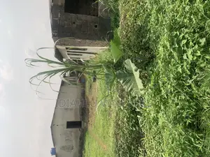 6bdrm Bungalow in Canaanland, Ado-Odo/Ota for sale