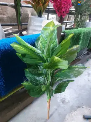 Plant Available as Seen