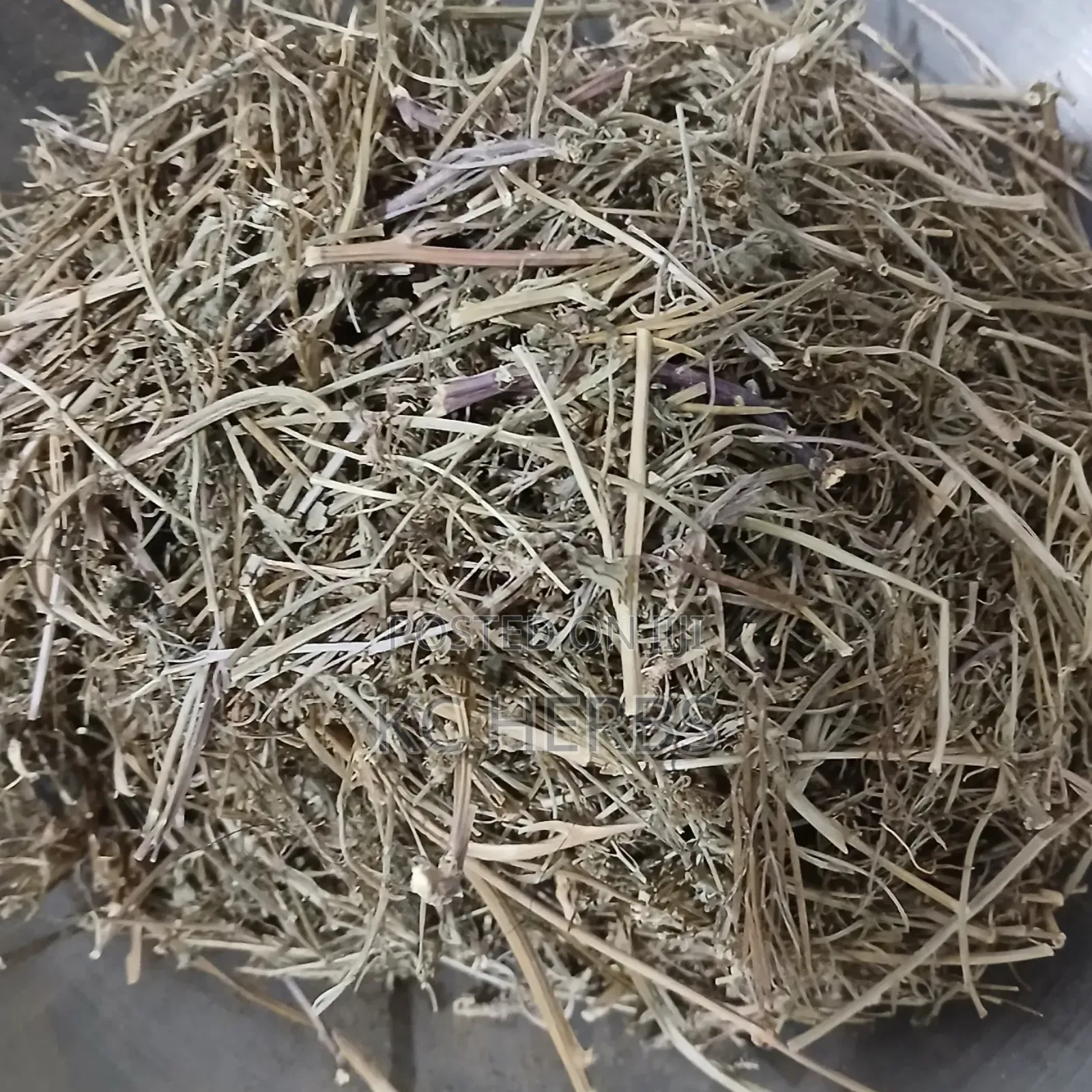 Shepherd's Purse