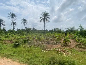 Genuine Plot at Igwuruta for Sale
