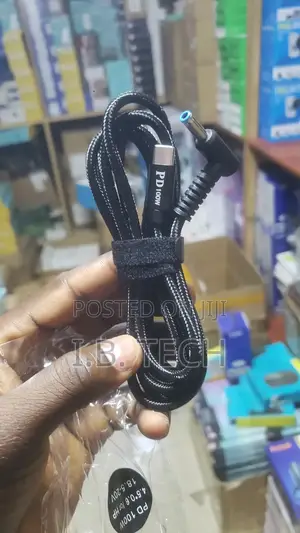 Type-C to Blue Mount Pd100w Laptop Charger