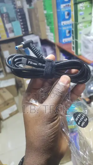 Type-C to Blue Mount Pd100w Laptop Charger
