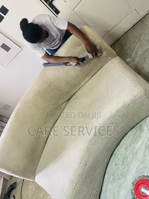 Superb Couch/Sofa Cleaning