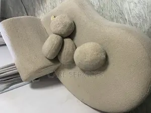 Superb Couch/Sofa Cleaning