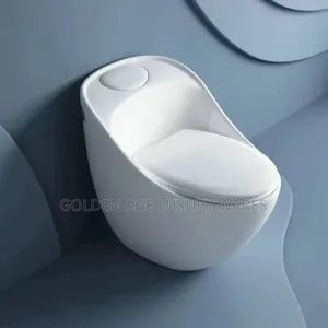Plain White One Piece Executive Wc