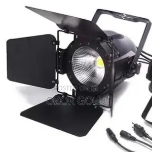 Cob Par Light