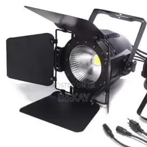 Cob Par Light