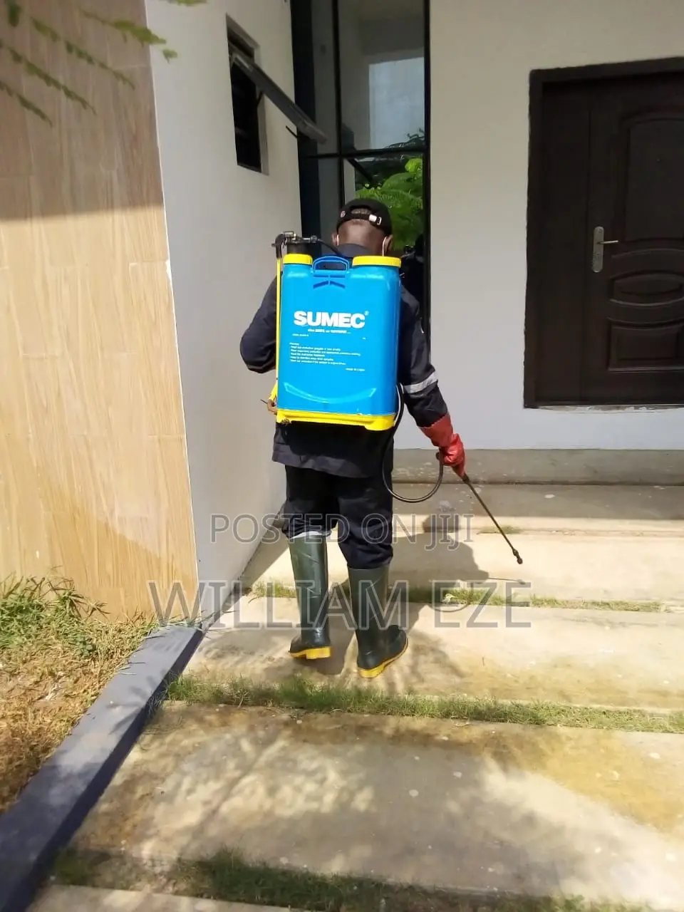Professional Pest Control Services