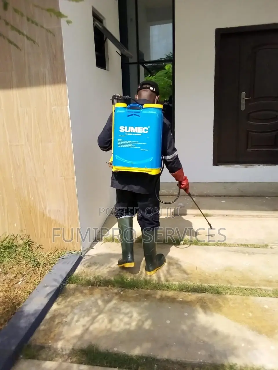 Professional Pest Control Services