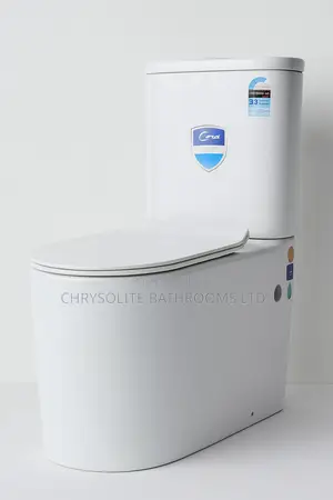 Ideal Water Closet 