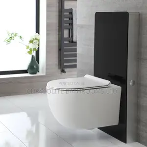 Monolith Wall-Hung Water Closet