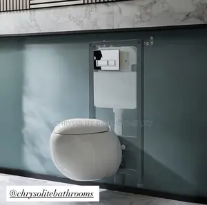 Egg Shaped Concealed Water Closet 