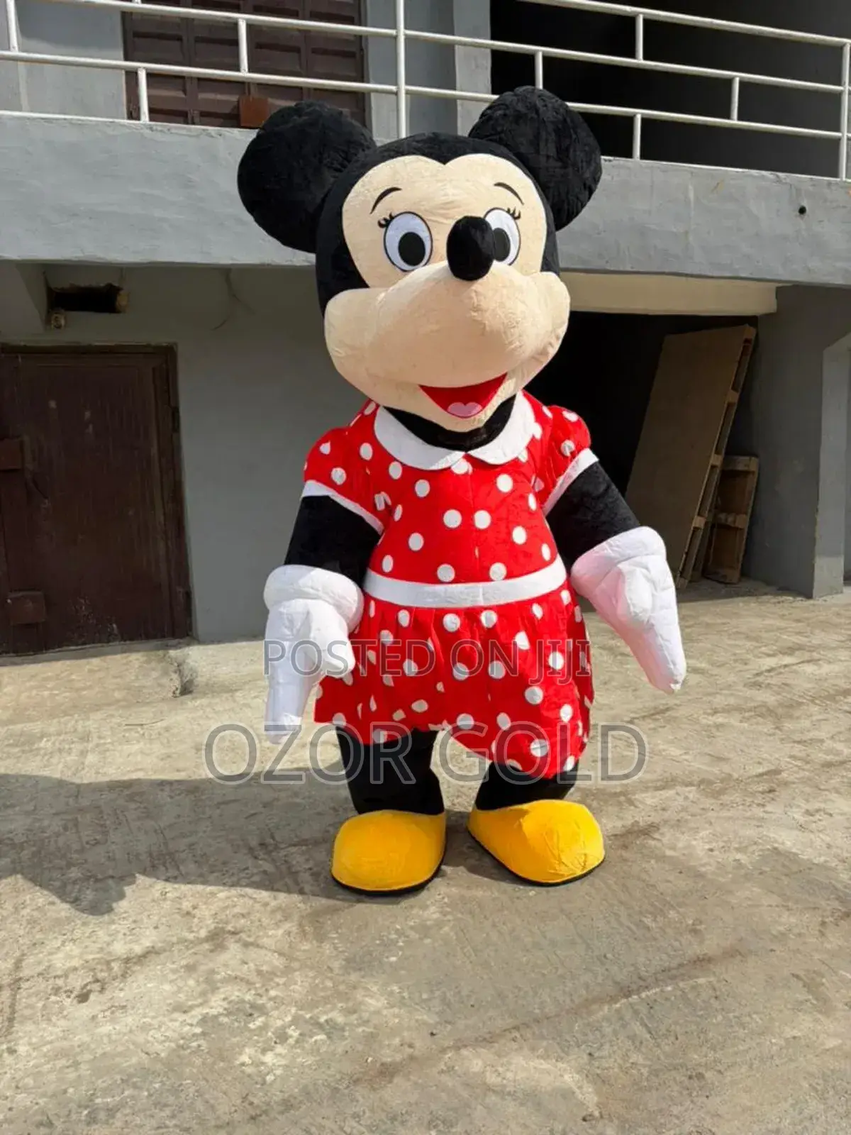 Mickey Mouse Costume