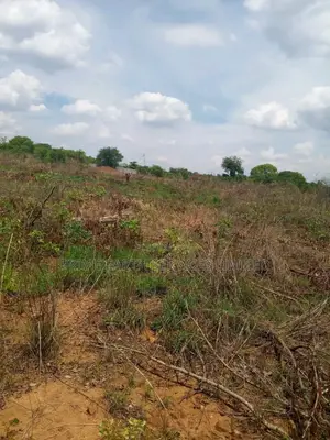 Land for Sale in Ilorin Kwara State