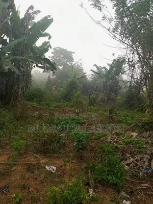 Land for Sale
