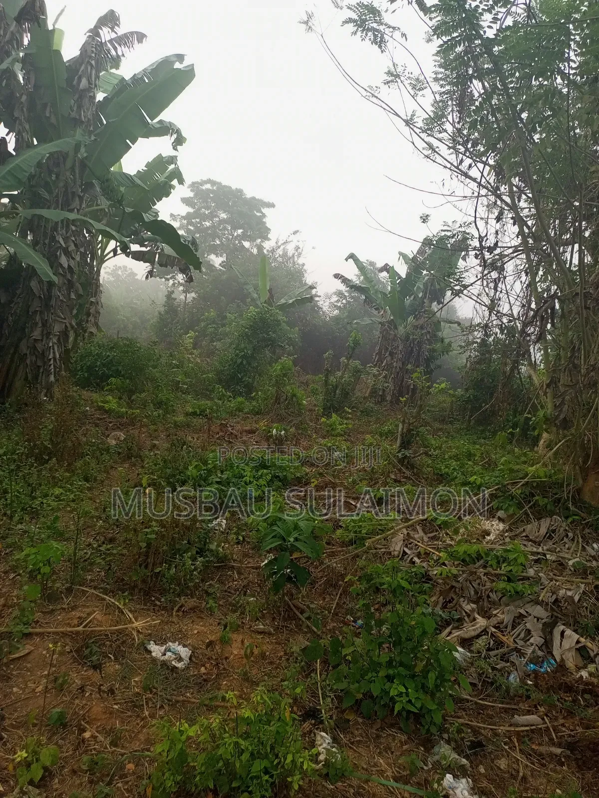 Land for Sale