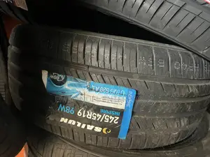 245/45r19 Sailun Tires