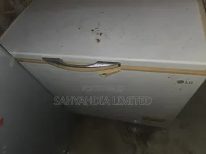 Lg Freezer