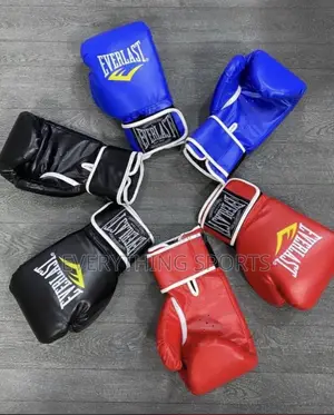 Premium Standard Boxing Glove