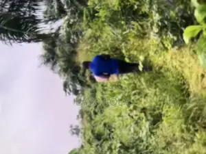 A Plot of Land for Sale at Owode Egba