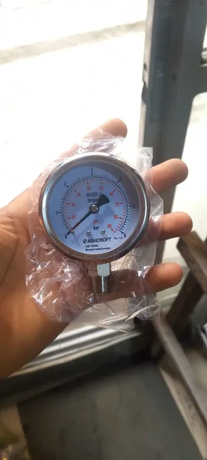 Pressure Gauge 6 Bar Wika