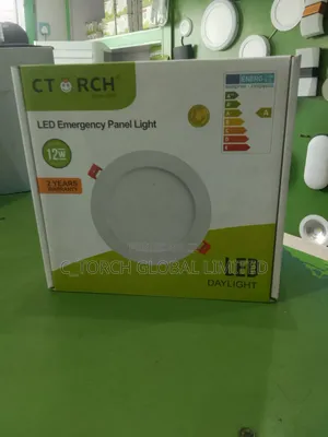 C_torch 12w Pop Rechargeable Light