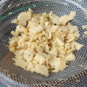 Black Soldier Fly (Bsf) Larvae Maggots Egg