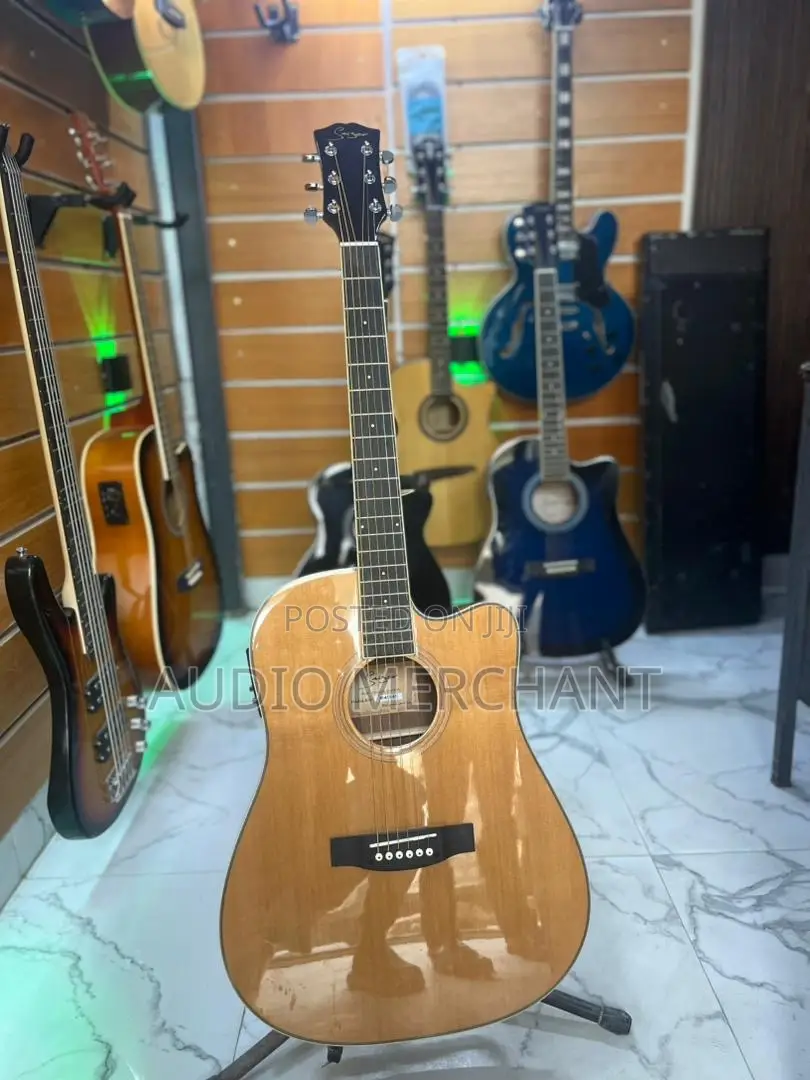 Electric Acoustic Guitar