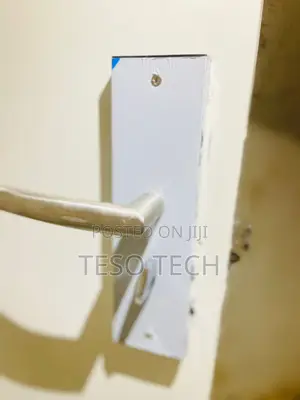 Smart Locks Security Doors