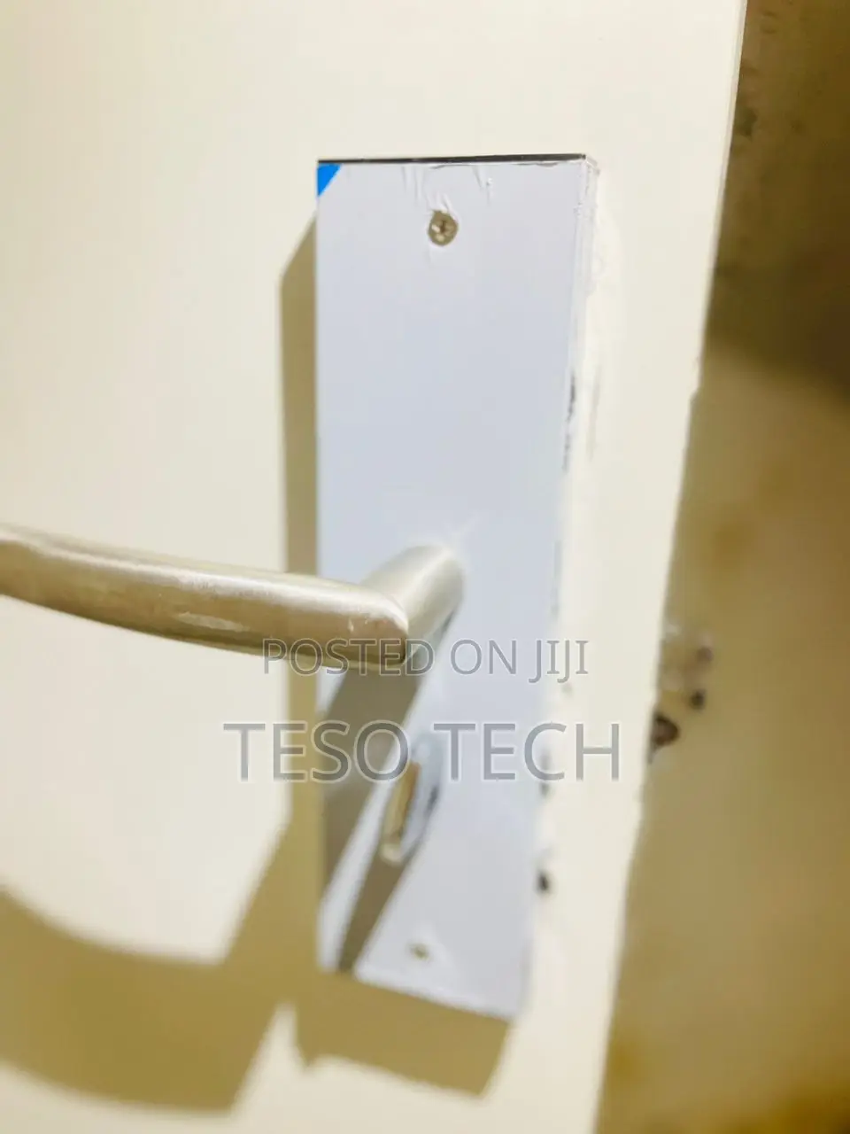 Smart Locks Security Doors