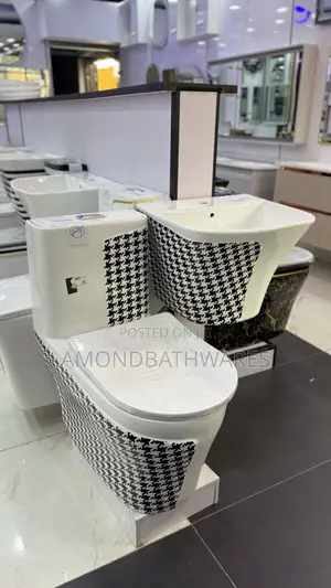 Black and White Wc With Suspended Basin