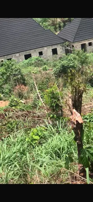 1 Plot of Land