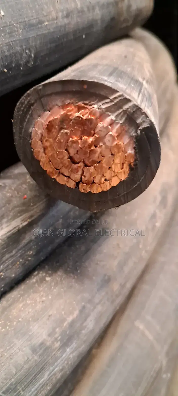Coleman Cable 500mm Single