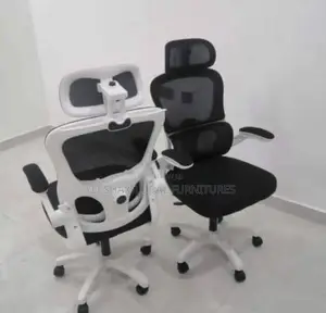 Ergonomic Office Chairs.