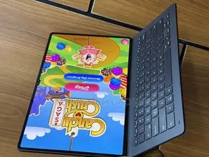 Samsung Galaxy Tab S9 Ultra 256 GB Gray