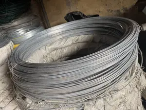 Coil of Galvanized Steel Wire by 50kg