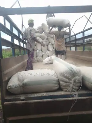 Anambra/Enugu Major Distributor Needed for Processed Cassava Peel Meal