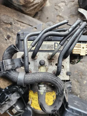 Highland Highbreed 2006 Abs Pump