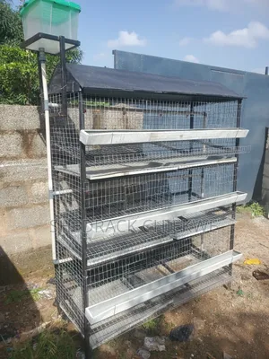 Chieken Cage