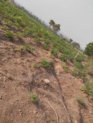10 Acres of Land for Sale – Km 9, Iseyin–Ogbomoso Road