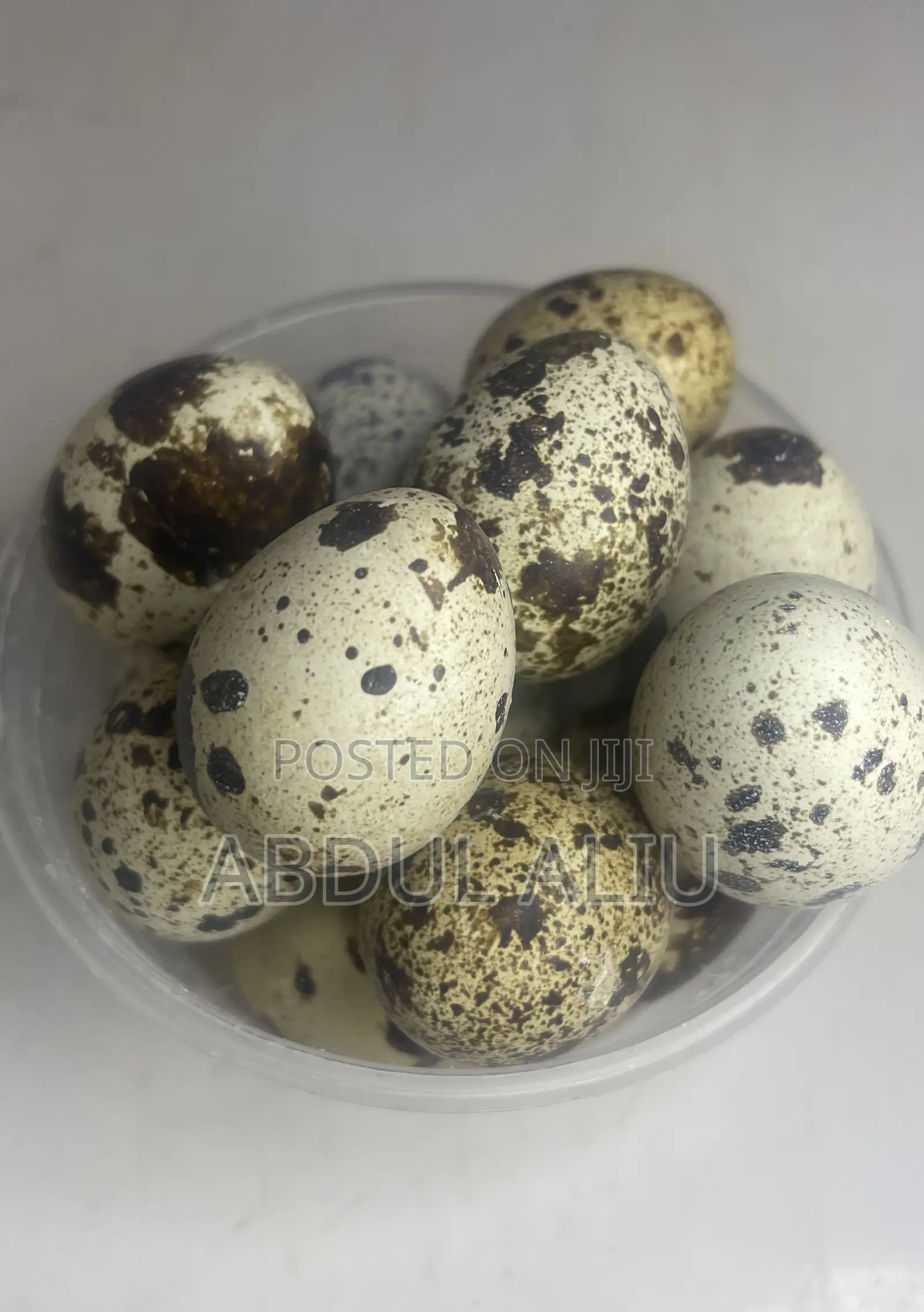 Quail Egg In Abuja