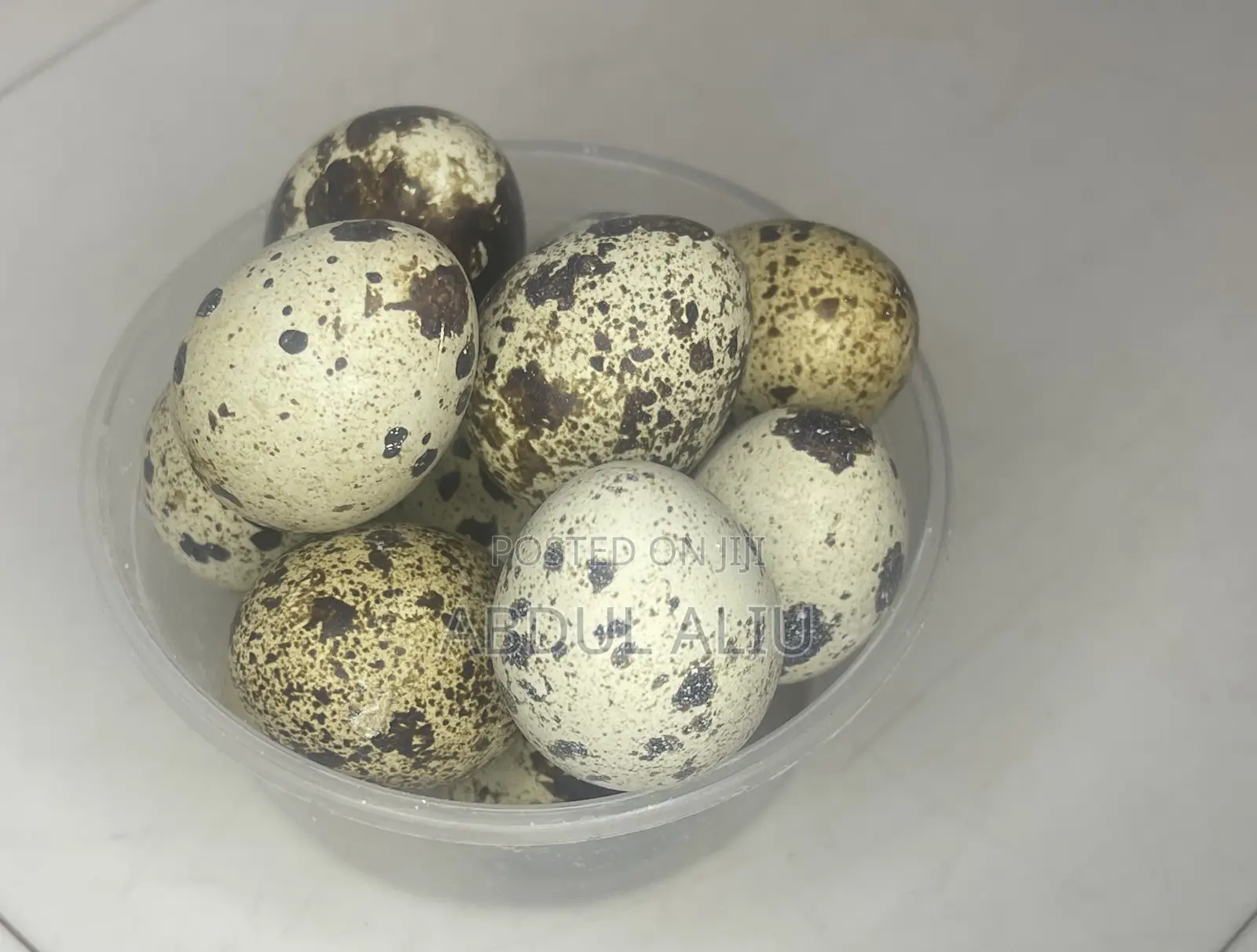 Quail Egg In Abuja