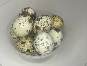 Quail Egg In Abuja