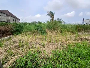 A Gated Plot of Land