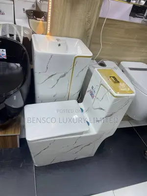 Marble Ceramic Toilet and Basin Set With Gold Trim.